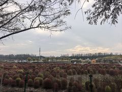 -嘉北郊野公园