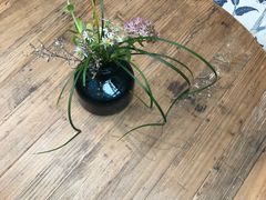 -看见远方·莫干遥远的山民宿