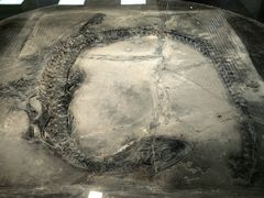 -大同煤炭博物馆