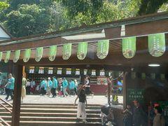 -野象谷景区