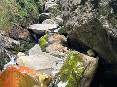 -鹿院坪生态旅游景区