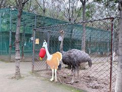 -草根堂农场