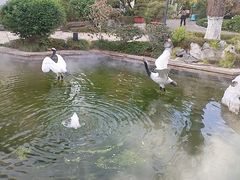 -广富林宰相府酒店·水云间