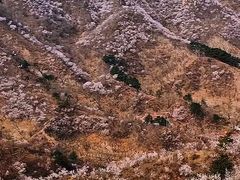 -龙泉峪长城