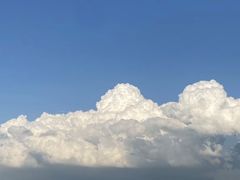 -合肥滨湖国家森林公园