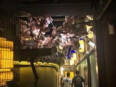 -淀里船宴(裕华东路店)