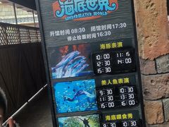 -哈尔滨波塞冬海底世界