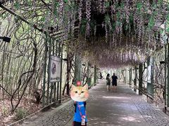 -苏州太湖国家湿地公园