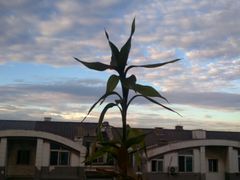 -辽沈战役纪念馆