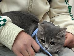 -四月宠物医院·猫专科·心脏专科·内科(转塘店)