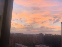 -处女座·MISS VIRGO·半永久纹眉野生眉