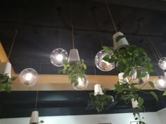 -柴务处·柴犬主题狗咖