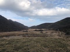 -大围山国家森林公园