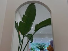 -echoes coffee回响咖啡(红山店)