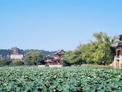 -颐和园