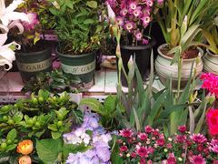 -三旗百汇商品城