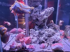 -太平洋海底世界