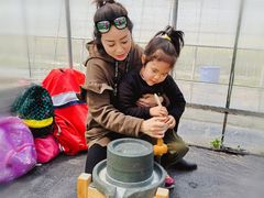 -前小桔亲子创意农场·草莓采摘·露营烧烤