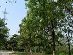 -云岗森林公园