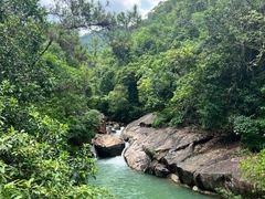 -广州白江湖森林公园