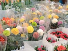 -双季花艺园艺市场(浦东店)