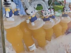 -珠海长隆海洋王国