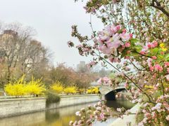-海棠花溪(元大都城垣遗址公园)