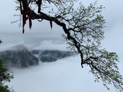 -张家界天门山国家森林公园