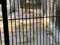 -广东茂名森林公园