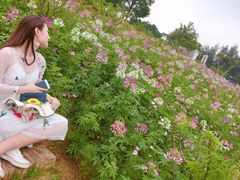 -松山湖梦幻百花洲