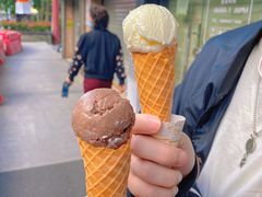 -成裕雪糕店(士多店)