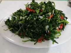 -煲来饱去冷水鱼