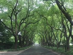 -西郊宾馆·1921餐厅