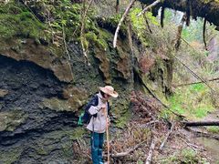 -峡谷浮石林景区