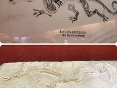 -重庆中国三峡博物馆(重庆博物馆)