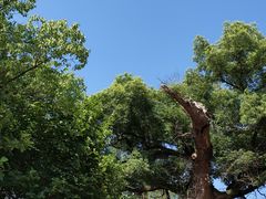 -蒋氏故居