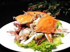 -赶海部落海鲜城(海阳路店)