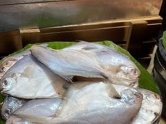 -索菲特酒店 · 云尚天际自助餐厅
