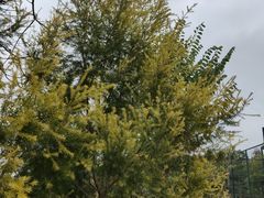 -中国移动南方基地