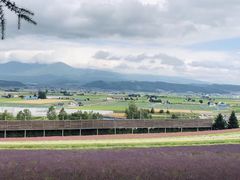 -富田农场