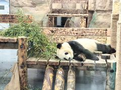 -无锡动物园·太湖欢乐园