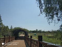 -同里国家湿地公园