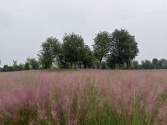 -汉长安城未央宫国家考古遗址公园