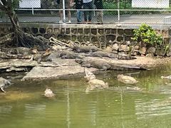 -广东茂名森林公园