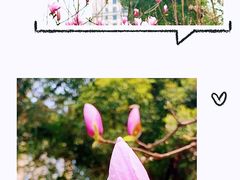 -重庆市江北嘴中央商务区中央公园