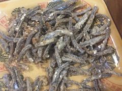 -乐山第一家临江鳝丝(茶坊路店)