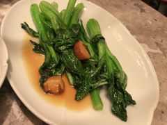 耗油菜心-四道菜·福建菜馆(新街口金鹰店)