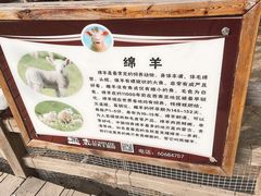 -北京鹿世界主题园