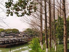 -乌镇西栅景区
