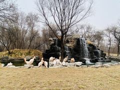 -北京野生动物园